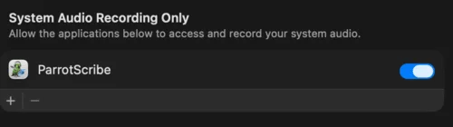 System Audio Recording permissions in System Settings