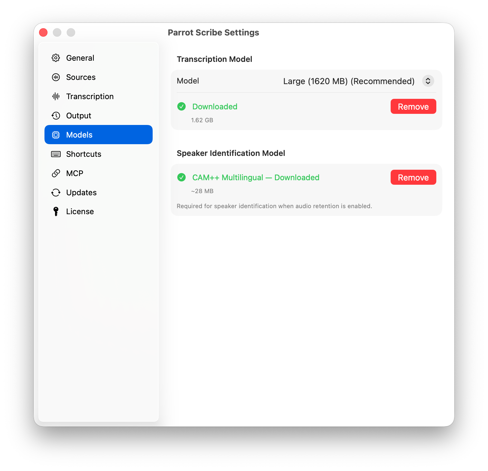 Models settings with transcription and speaker identification models